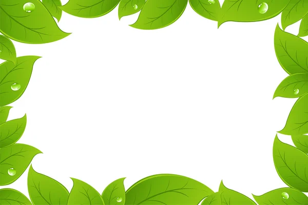 Green Leaves Background — Stock Vector