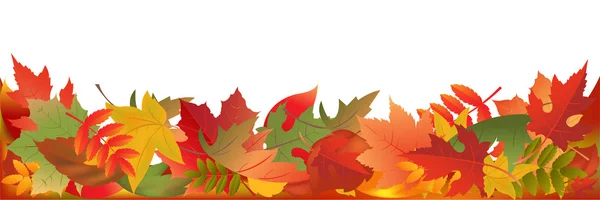 Autunno foglie panorama — Vettoriale Stock