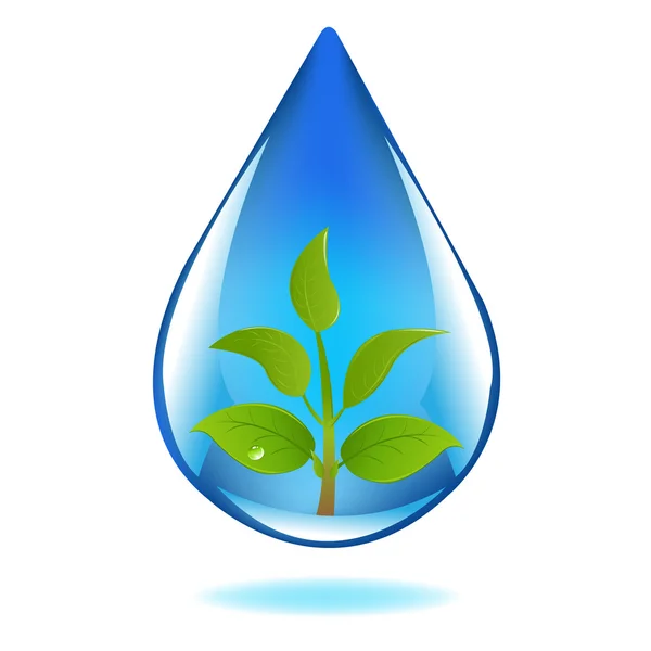 Σταγόνα νερό με το βλαστάρι — Διανυσματικό Αρχείο