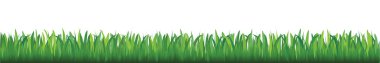 Green Grass clipart