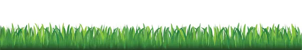 Grünes Gras — Stockvektor