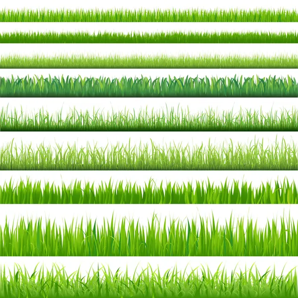 Grote set grassen — Stockvector