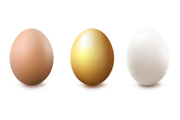 Brown, Golden And White Eggs — Stock Vector