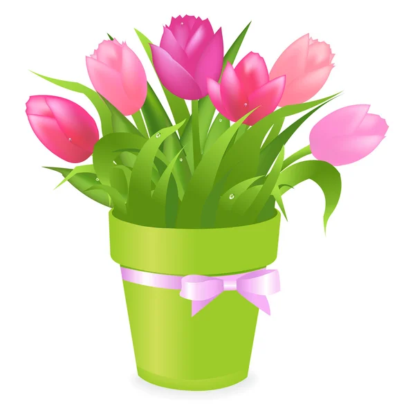 Kytice Barevné Tulipány Zelené Hrnce Izolovaných Bílém Pozadí Vektorové Ilustrace — Stockový vektor