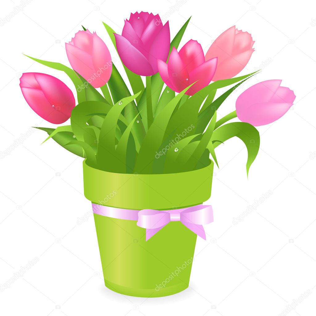 Bouquet Of Multicolored Tulips In Green Pot, Isolated On White Background, Vector Illustration
