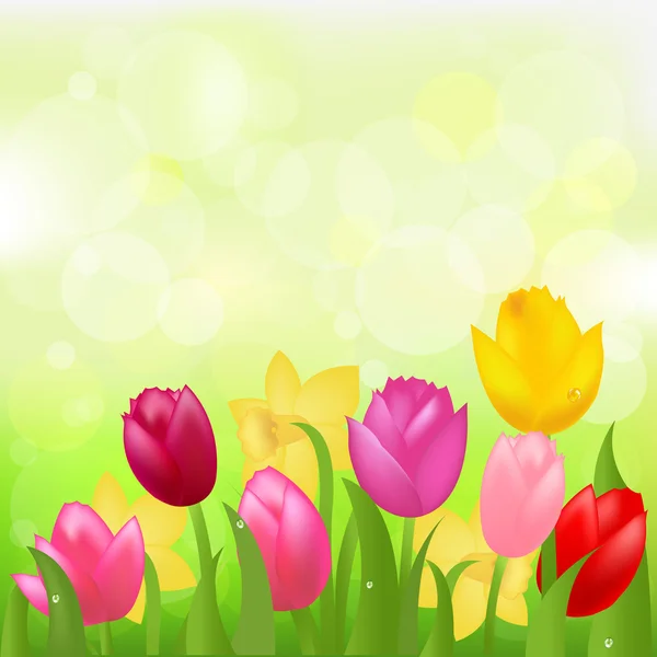 Tulipes colorées — Image vectorielle