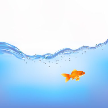 Goldfish Swimming In Water, Vector Illustration clipart