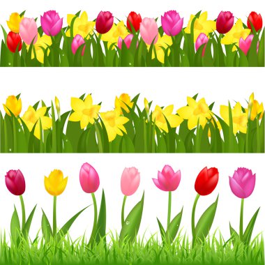 3 Flower Borders From Tulips And Narcissuses, Isolated On White Background, Vector Illustration clipart