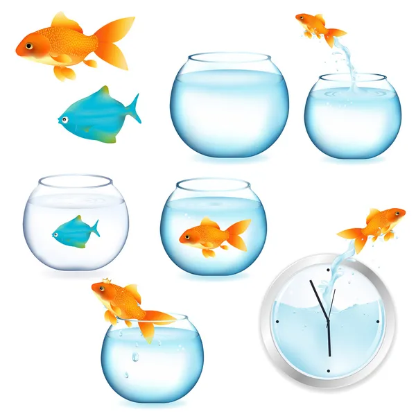 Goldfish Aquariums Isolated White Background Vector Illustration — Stock Vector