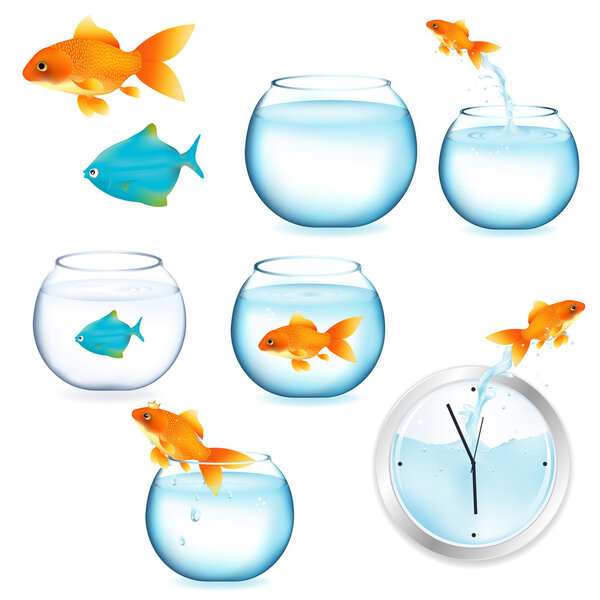 Goldfish And Aquariums, Isolated On White Background, Vector Illustration