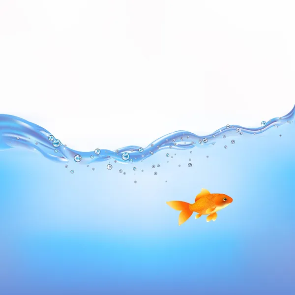 Goldfish Swimming Water Vector Illustration — Stock Vector