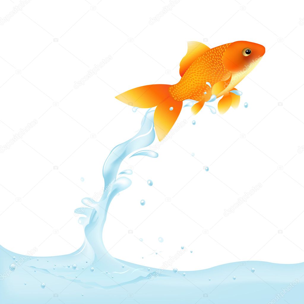 Goldfish Leaping Out Of Water, Vector Illustration