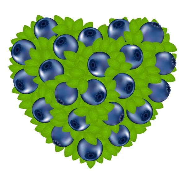 Bilberry yürekten — Stok Vektör