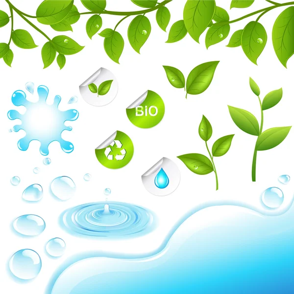 Collection Green Branches Water Elements Isolated White Background Vector Illustration — Stock Vector