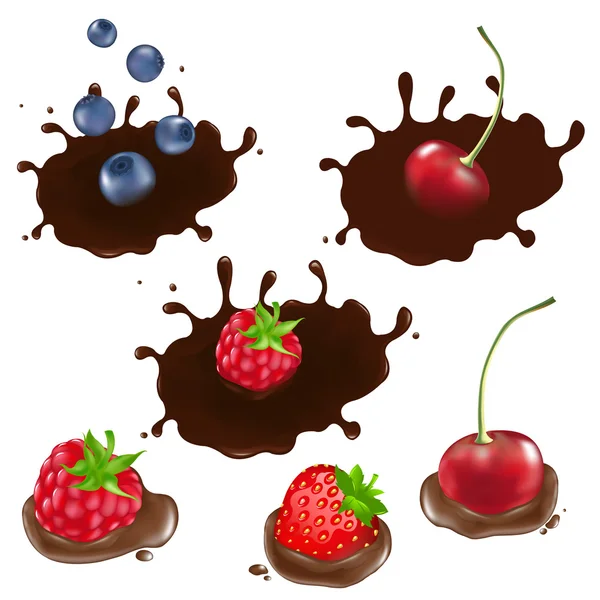 在巧克力 莓果被隔绝在白色背景上 矢量图 — 图库矢量图片
