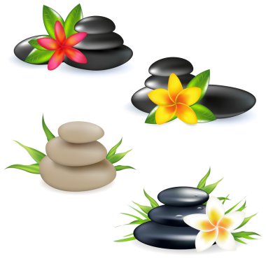 4 Spa Still Life With Frangipani clipart