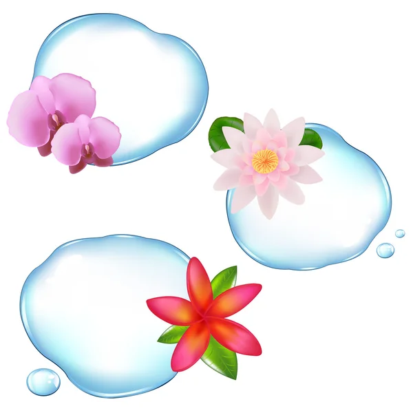 Květy Nad Vodou Izolovaných Bílém Pozadí Vektorové Ilustrace — Stockový vektor