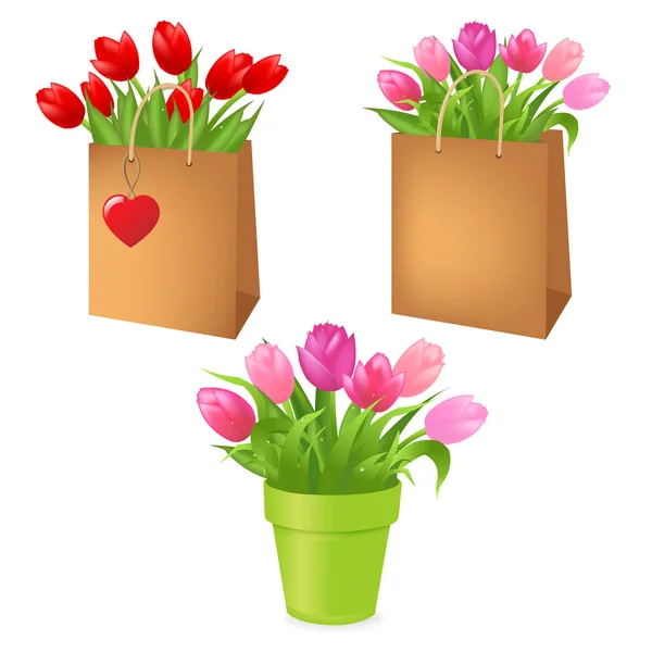 Tulipani nel pacchetto — Vettoriale Stock