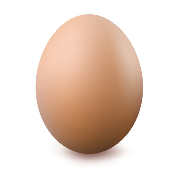 Brown Egg — Stock Vector