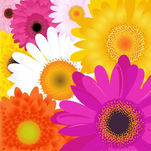 Flores brillantes — Archivo Imágenes Vectoriales
