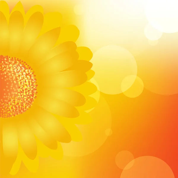 Sunflower Background — Stock Vector