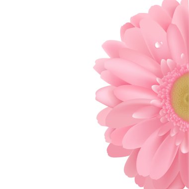 Gerbera clipart