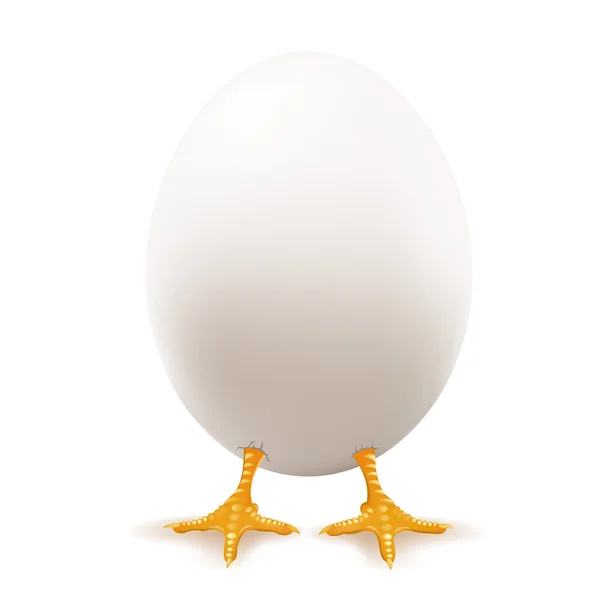 白い卵 — ストックベクタ