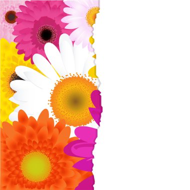 Flowers clipart