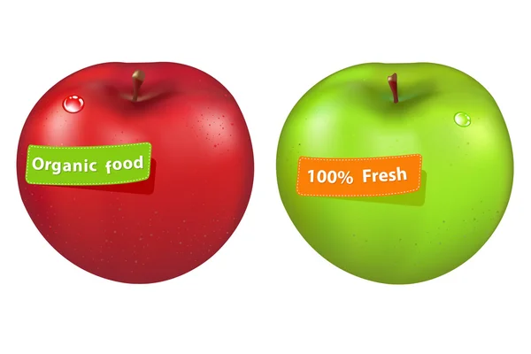Зелене і червоне яблуко — стоковий вектор