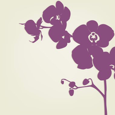 Orchid clipart