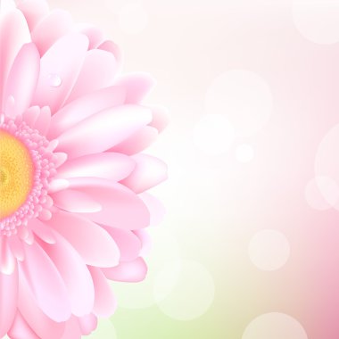 Pink Gerbera clipart