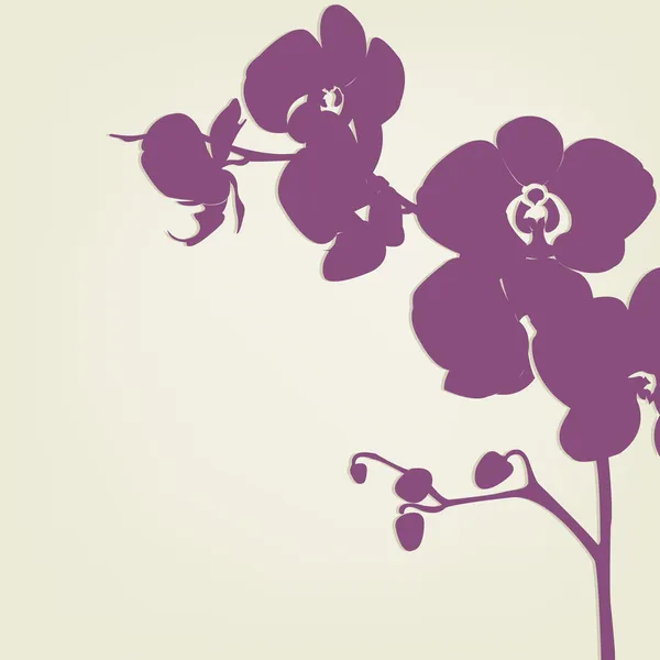 Orkide – Stock-vektor