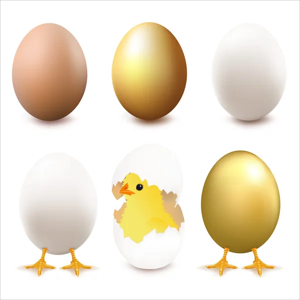 Huevos — Vector de stock