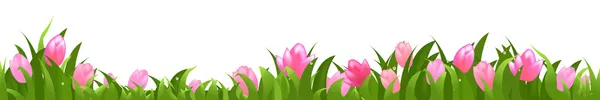 Tulipanes — Vector de stock