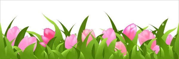 Panorama des tulipes — Image vectorielle