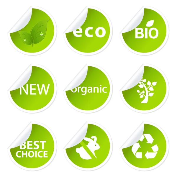 Eco etiqueta engomada conjunto — Vector de stock