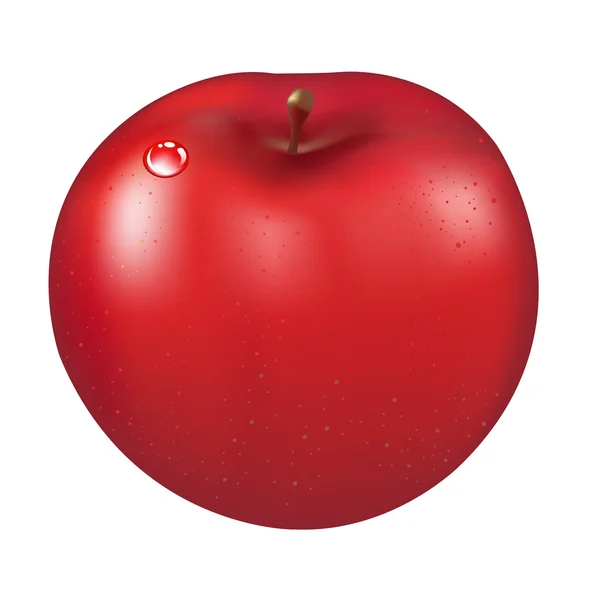 Manzana roja — Vector de stock