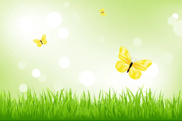 Grönt gräs och gula fjärilar — Stock vektor
