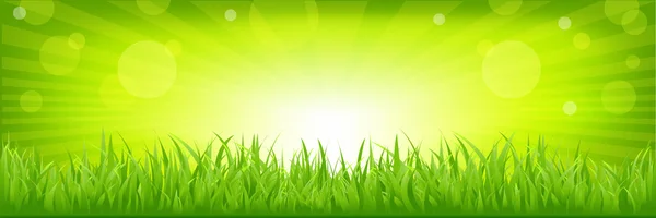 Tráva se zeleným pozadím — Stockový vektor