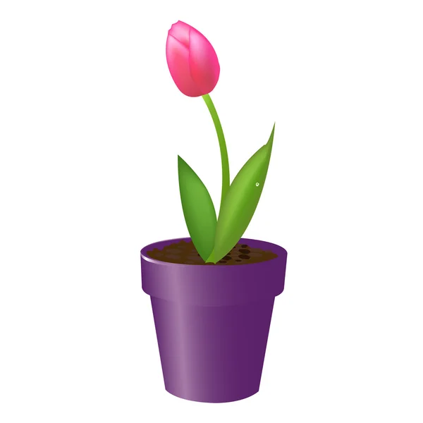 Tulipa em vaso — Vetor de Stock