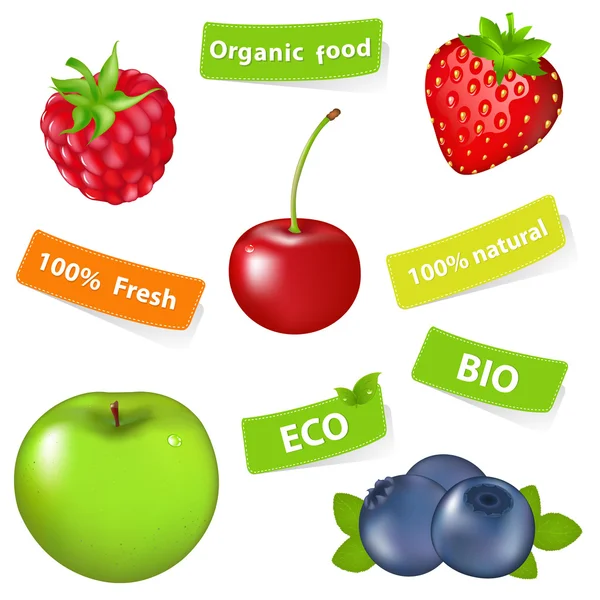 Organic Food — Stock Vector