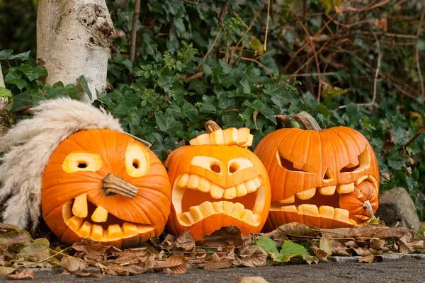Tres calabazas de halloween — Foto de Stock