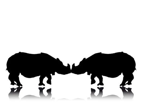 Zwei Nashörner — Wektor stockowy