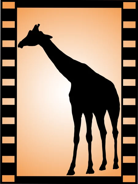 Filmremsa med giraff — Stock vektor
