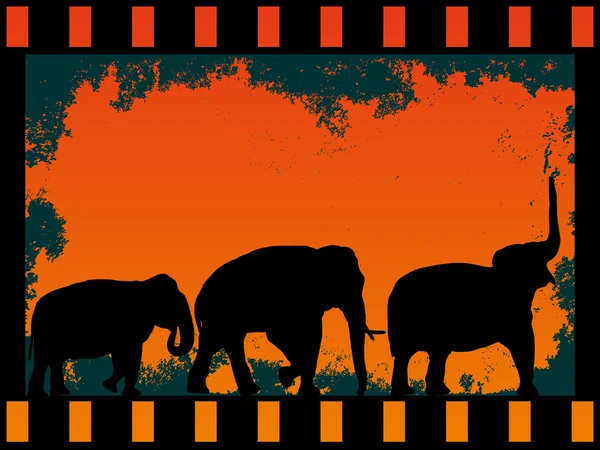 Elefantes — Archivo Imágenes Vectoriales