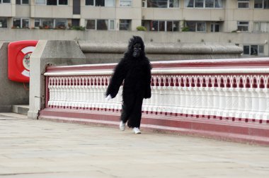 Merkez Londra 26 septembe içinde çalıştırmak 2010 büyük gorilla tek oyundaki