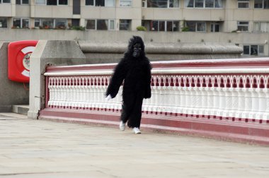 Single Runner At The 2010 Great Gorilla Run In Central London 26th Septembe clipart