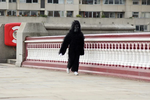 stock image Single Runner At The 2010 Great Gorilla Run In Central London 26th Septembe