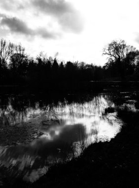 Lydiard Park göl manzaralı