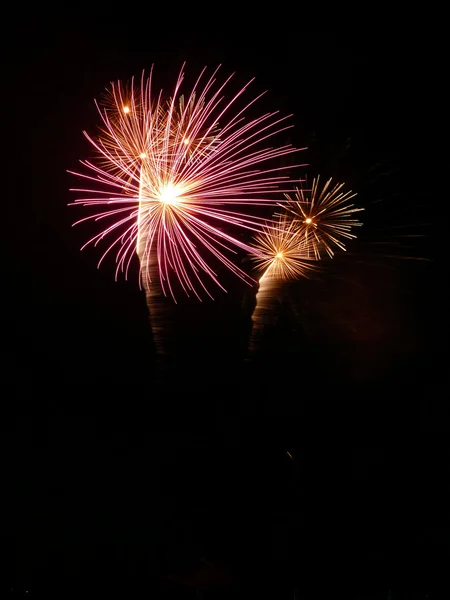 Fireworks uygulamasında barkingside — Stok fotoğraf